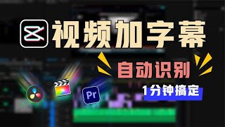 视频字幕制作1分钟搞定  剪映自动识别字幕  导出SRT字幕 [upl. by Franciskus]