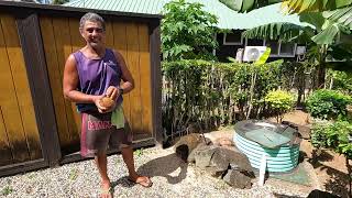 Rarotonga Beach amp Coconut Husking [upl. by Art14]