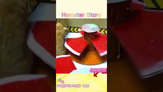 🐹Hamster Escapes The Awesome Maze For Pets In Real Life 🐹 in Hamster Story 2 [upl. by Placeeda]