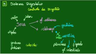 Sistema Digestório  Controle da Digestão  Colecistoquinina e inibidor gástrico [upl. by Barclay444]