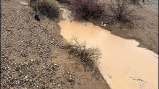 Rainy Days  Quartzsite AZ  2024 [upl. by Ahmed]