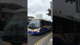 Translink Goldline Routes 256 219a  1258 1071  Queen’s Square Belfast City  8162024 [upl. by Aicirtac]