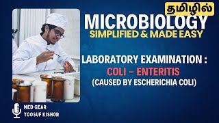 LABORATORY EXAMINATION OF COLI  ENTERITIS தமிழில்  ECOLI BACTERIA 🦠  Microbiology 🧫 MADE EASY [upl. by Berghoff]