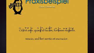 Skandieren lateinischer Verse Praxisbeispiel II LateinLernvideo [upl. by Quintus]