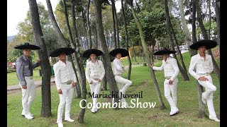 Mariachis Bogotá  Mariachi Juvenil Colombia Show  Serenatas Bogota  CEL 3107858421 [upl. by Kerat515]