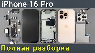 Полная разборка iPhone 16 Pro — Технический взгляд на детали [upl. by Ebbarta400]