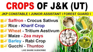 CROPS OF JampK l l JampK GK IMPORTANT POINTS l l JKP CONSTABLE l JUNIOR ASSISTANT l l FOREST GUARD l l [upl. by Wyndham]