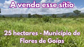 A venda esse sítio de 25 hectares  Município de Flores de Goías NÚMERO NOVO 61 99056041 [upl. by Thurnau46]