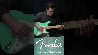 Fender Stratocaster Player Series Demo shorts [upl. by Lyrac104]