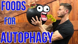 How to Boost Autophagy without Fasting  What is Autophagy  Foods for Autophagy  Thomas DeLauer [upl. by Babette]