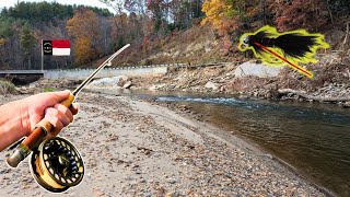 Battered NC Rivers Produce a Good Bite Wild Trout [upl. by Aric]