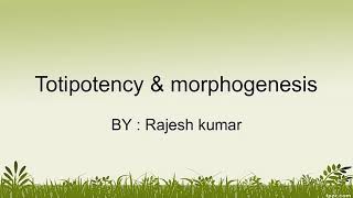 Totipotency and morphogenesis information [upl. by Sidonnie]