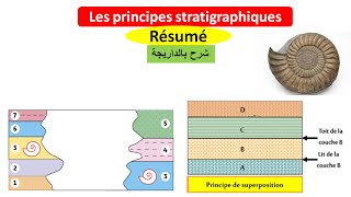 Les principes stratigraphiques et léchelle stratigraphique ملخص بالداريجة [upl. by Dwan]