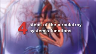 Visible Body  Learn Pulmonary amp Systemic Circulation [upl. by Naples]