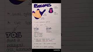 Biology Ribosomes PHYSIOLOGY [upl. by Ortensia]