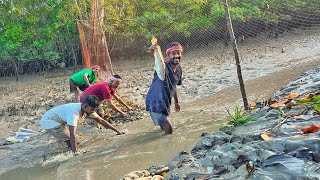 এই প্রথমবার সুন্দরবন জঙ্গলেখাল পাটা দিয়ে মাছ ধরলাম🐟 [upl. by Lani406]