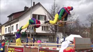 ¨Fasnachtsumzug Thayngen 2019 [upl. by Suidaht]