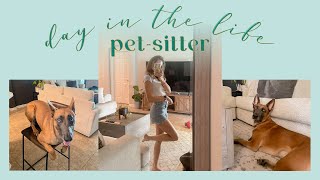 day in the life  petsitter edition with advice  tips 🐶🌷 [upl. by Laeynad]