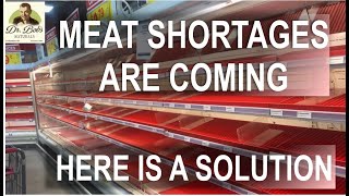 Meat Shortages Are Coming I Have A Solution [upl. by Gunning]