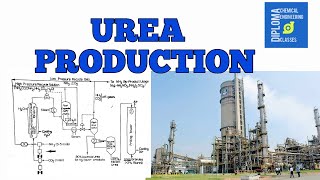 Urea production process in hindi FlowsheetChemical reaction Diploma in chemical engineering [upl. by Swift]