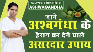 जाने अश्वगंधा Ashwagandha के हैरान कर देने वाले असरदार उपाय  Acharya Balkrishna [upl. by Nima333]