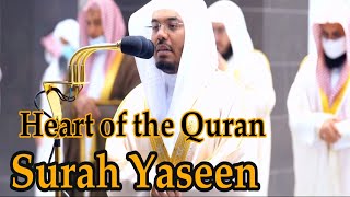 Surah Yaseen with English translation  Sheikh Yasser al Dossari Beautiful Recitation [upl. by Leduar]