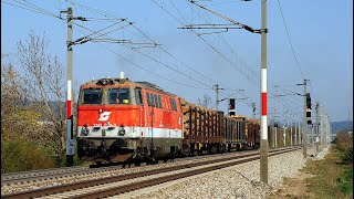 Dieselgewitter im Triestingtal von Leobersdorf nach Weissenbach mit der ÖBB 21430293 am 2142021 [upl. by Alberta476]