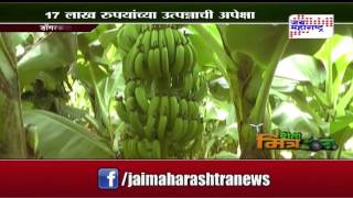 Sheti Mitra Banana Farming in Hingoli  seg 1 [upl. by Hardin]