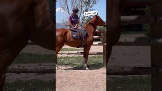 horseplay equestrian horseenthusiast ottb horsefan [upl. by Enilatan]