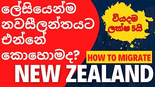 නවසීලන්තයට එන්නේ කොහොමද  How to migrate New Zealand easily  New Zealand Sinhala [upl. by Anayt177]