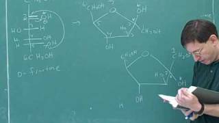 Organic chemistry Carbohydrates 4 [upl. by Aracal893]