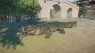 Planet Zoo Saltwater Crocodile [upl. by Akirdnahs]