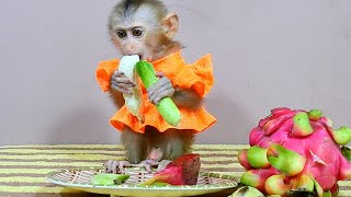 Adorable baby joyful while eating fruit and vegetable [upl. by Dolora]