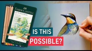 How to Draw a Bird  Set of 12 Pastel Pencils  Beginner Tutorial [upl. by Fiel]