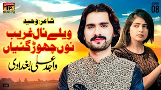 Vailey Naal Gharib Nu Chor Giyain  Wajid Ali Baghdadi  Official Music Video Tp Gold [upl. by Demahum]