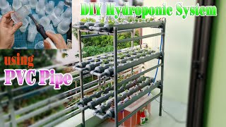 How to make a Hydroponic System at home using PVC Pipe [upl. by Jacobsen325]