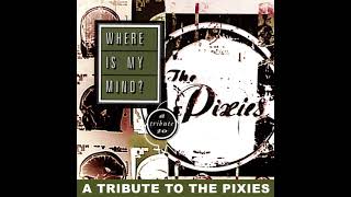 Where Is My Mind A Tribute to the Pixies 1999 [upl. by Frida846]