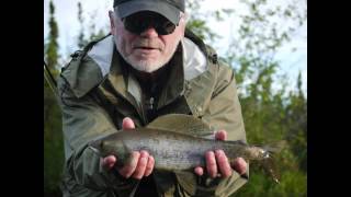 Delta Clear Water Fishing Arctic Grayling Alaska  Aesche Fliegenfischen [upl. by Masha575]