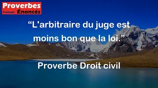 Proverbe Droit civil  Larbitraire du juge est moins bon que la loi [upl. by Eneg]