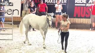 Mira Semelka auf dem Mustang Makeover 2018 [upl. by Ynnej]