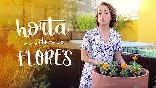 Minha Horta Desafio 2 flores comestíveis na sua horta fácil [upl. by Branch]