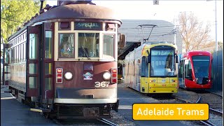 Adelaide Trams Full Overview and Exploration [upl. by Rika]