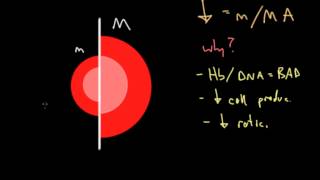 Clinical Approach to Anemia [upl. by Natlus]