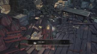 Dark Souls III  Profaned Capital 不死の遺骨、Undead Bone Shard [upl. by Virg291]