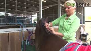 How to Plait A Mane For The Showring [upl. by Bendicty]