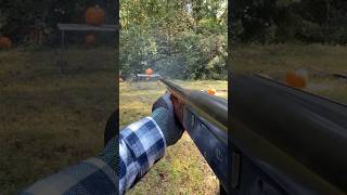 Buckshot VS Birdshot VS Pumpkins 7 yards 16 gauge pewpew shorts short airsoft hunting [upl. by Ariajaj]