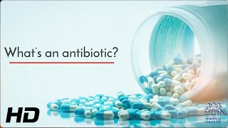 The Science of Antibiotics How They Work and Why They Matter [upl. by Reece740]