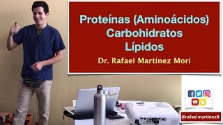 Nutrición Proteínas Aminoácidos Carbohidratos Lípidos [upl. by Weatherby731]