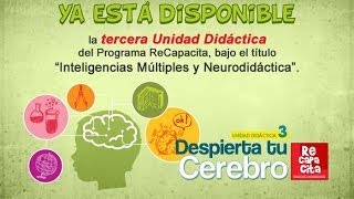 Inteligencias Múltiples y Neurodidáctica [upl. by Chansoo]