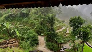 Lluvia Relajante Para Dormir  Sumérgete en la Paz y Serenidad de los Sonidos Naturales de la Lluvia [upl. by Aksehcnarf]